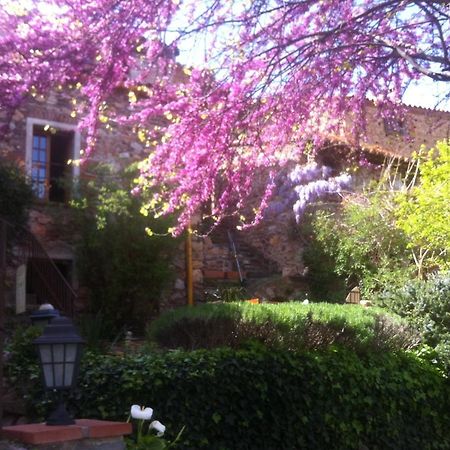 La Figuera Bed & Breakfast Camélas Exterior photo